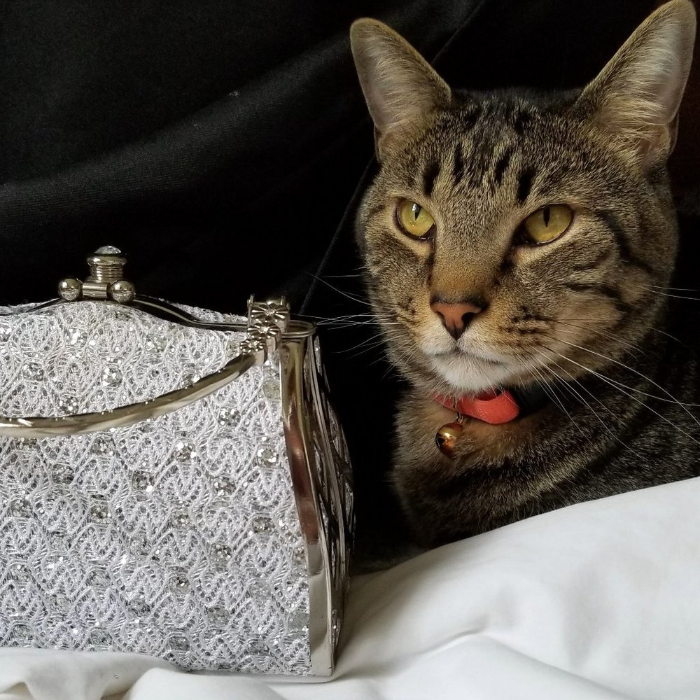 Silver Purse